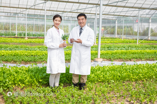 把论文写在田野上的手捧植物者 农业科研人员的坚守与浪漫