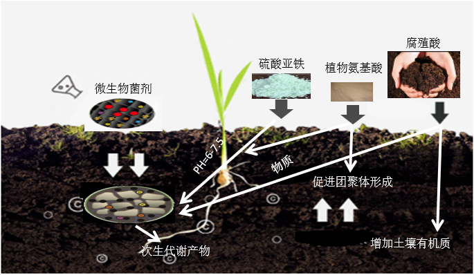 如何快速改良土壤提升作物产能力？甘肃省农科院高科技在第三十届农高会上给出答案