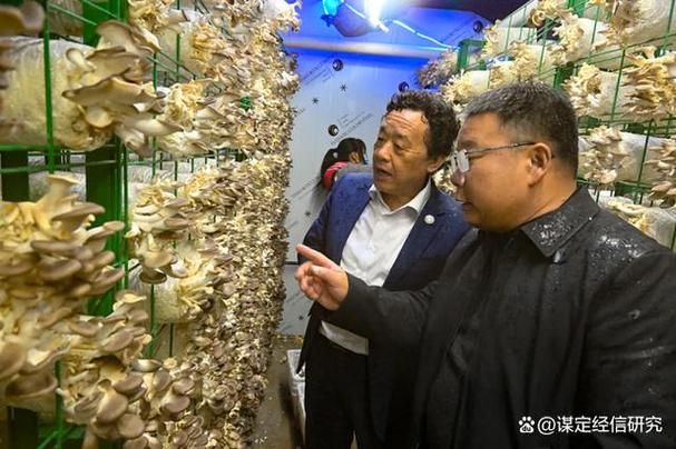 屈冬玉来华与全球农业粮食体系转型 万祥军视角下的农业科学研究新议程